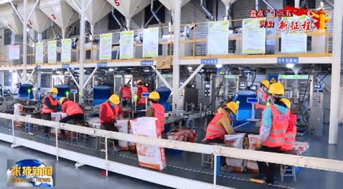 張掖 農作物種子經營助力增收致富